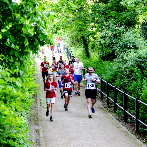PowerGreen Lauf durch den Lennépark in Frankfurt (Oder)